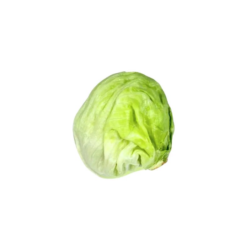 Iceberg Lettuce Per kg - Bangkok FreshLink