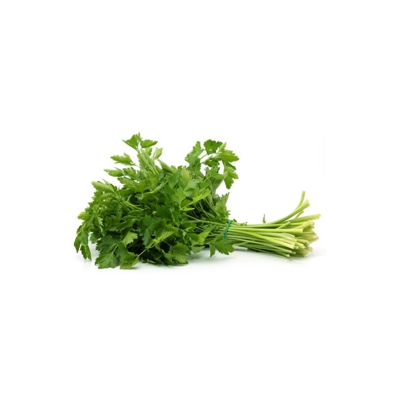 Italian Parsley Per kg - Bangkok FreshLink