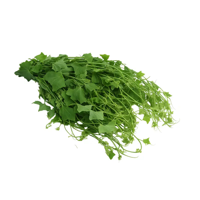 Ivy Gourd Shoots Per kg