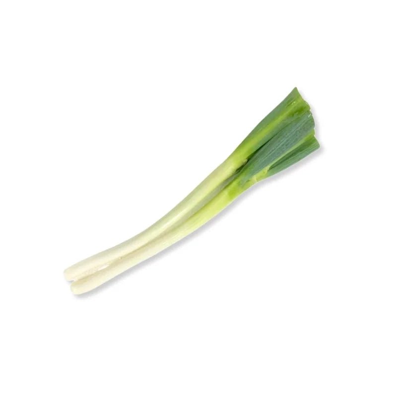 Fresh short Japanese spring onions, tender green stalks sold per kg isolated on white background