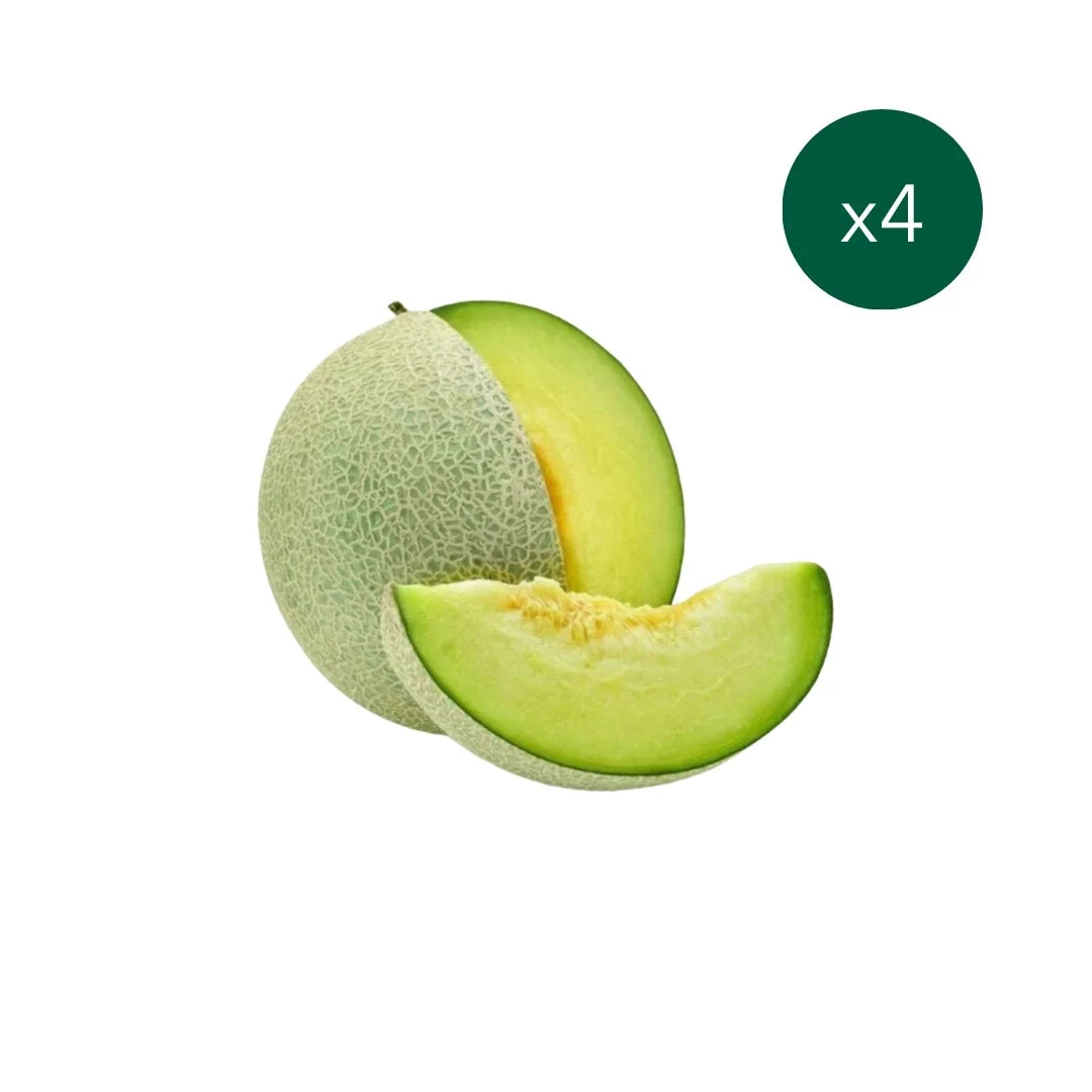 Japanese Yubari Melon (Green) 4 Pieces