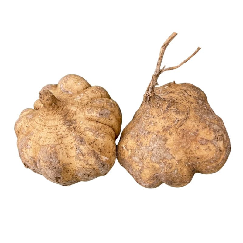 Jicama Per kg - Bangkok FreshLink