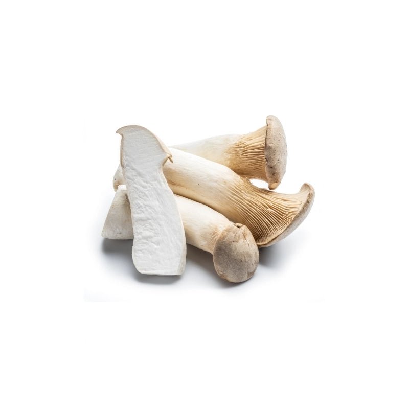 King Oyster Mushroom (Size L) 500g - Bangkok FreshLink