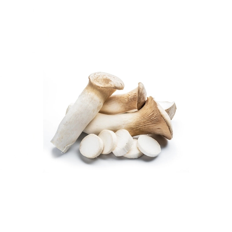 King Oyster Mushroom (Size L) Per kg