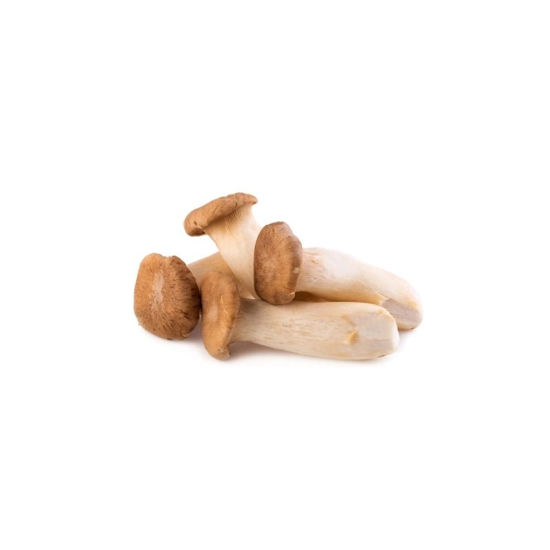 King Oyster Mushroom (Size M) 500g - Bangkok FreshLink