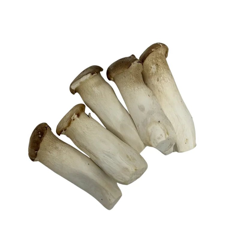 King Oyster Mushroom (Size M) Per kg - Bangkok FreshLink