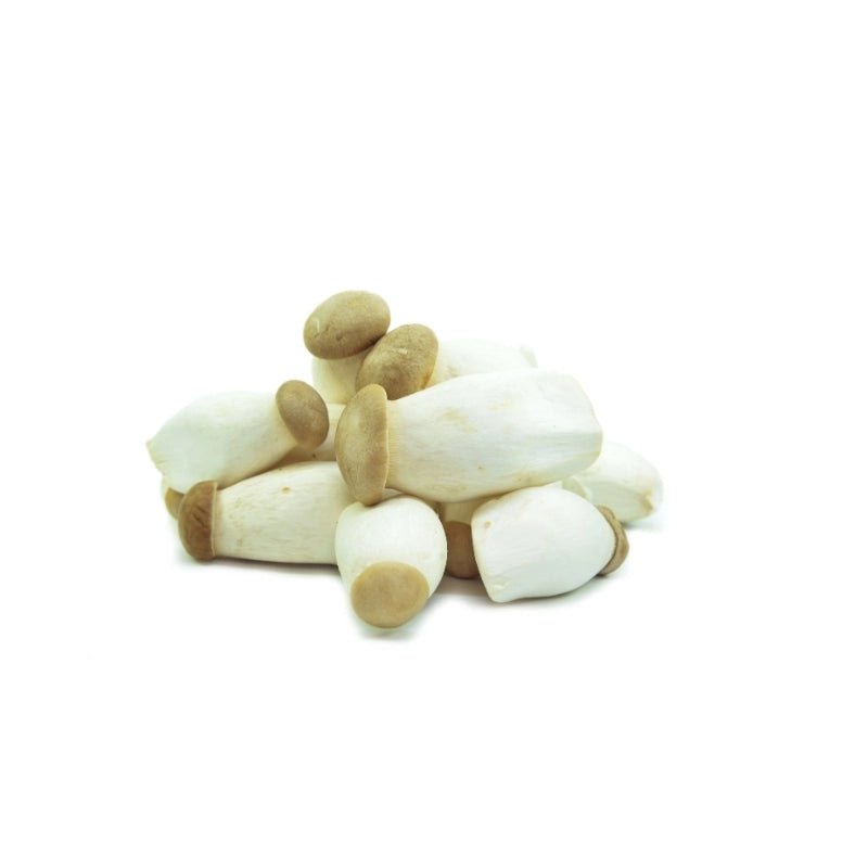 King Oyster Mushroom (Size S) 500g - Bangkok FreshLink