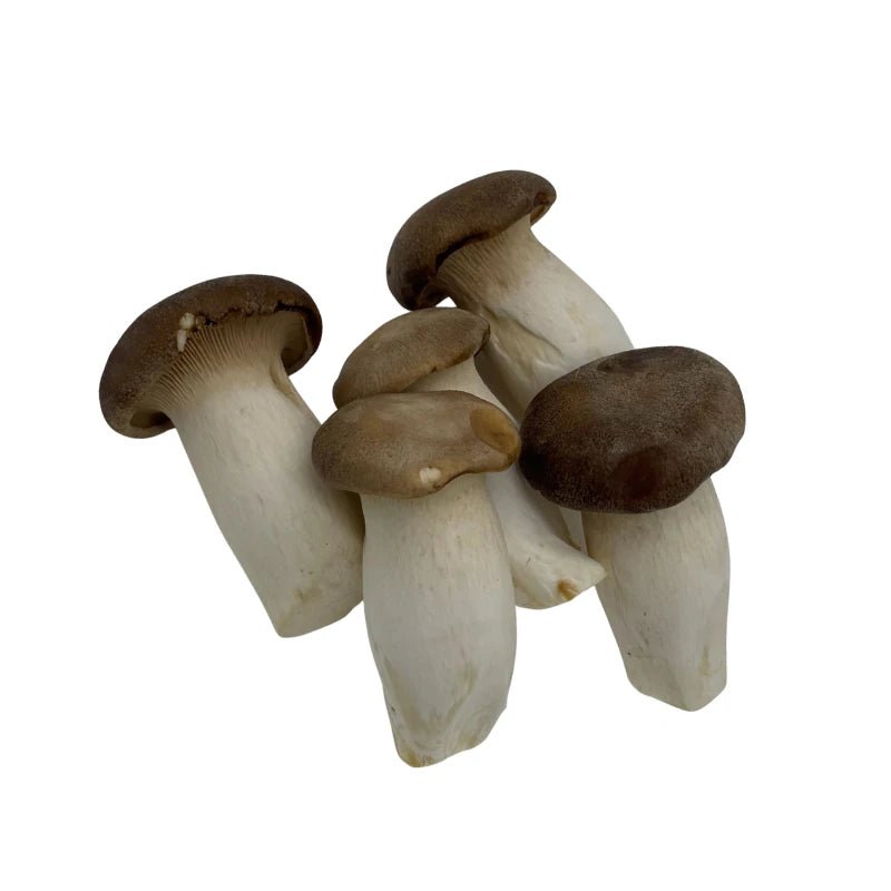 King Oyster Mushroom (Size S) Per kg - Bangkok FreshLink