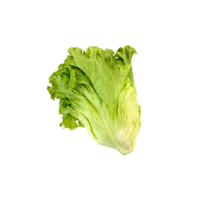 Lettuce Per kg - Bangkok FreshLink
