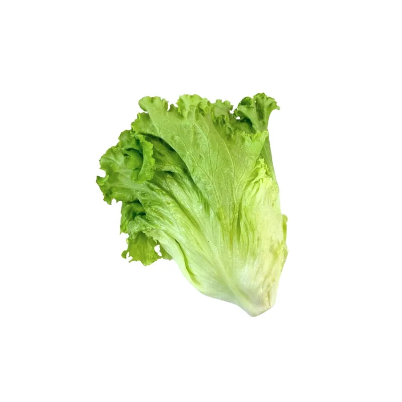 Lettuce 500g