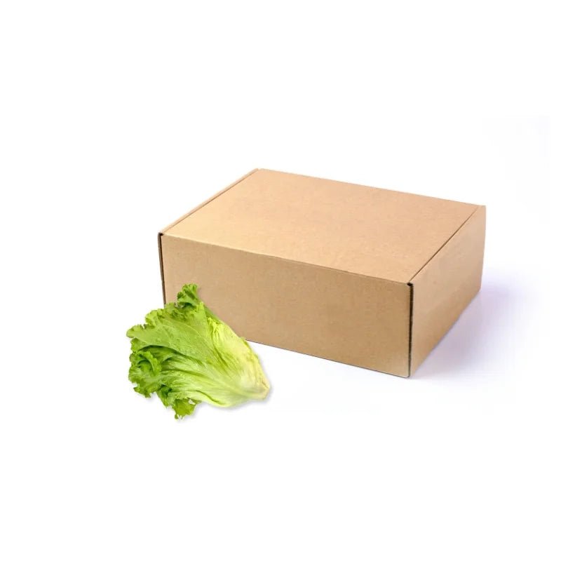 Lettuce 5kg - Bangkok FreshLink