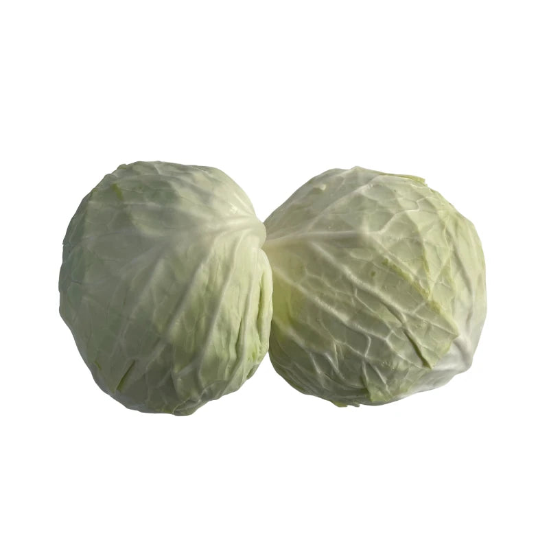 Light Head Cabbage Premium Size Per kg