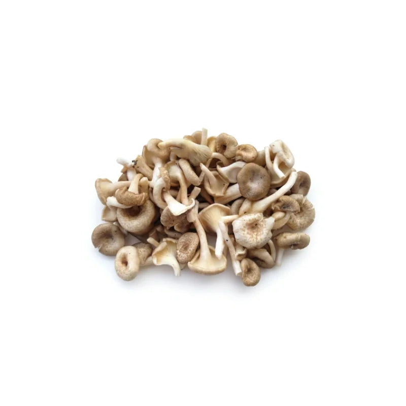 Log White Mushroom Per kg