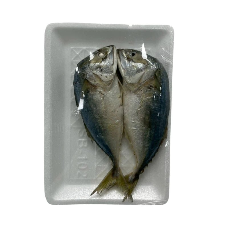 Mackerel Size M, 2 Fish/Pack - Bangkok FreshLink