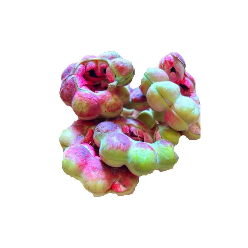 มะขามเทศ 500 กรัม