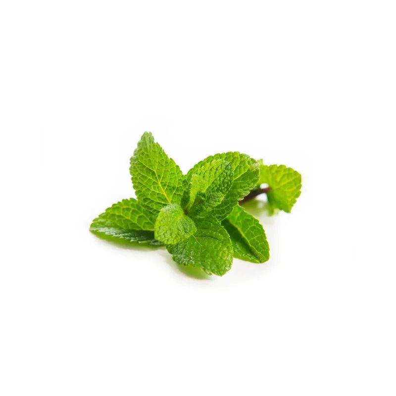 Mint Leaves 250g - Bangkok FreshLink