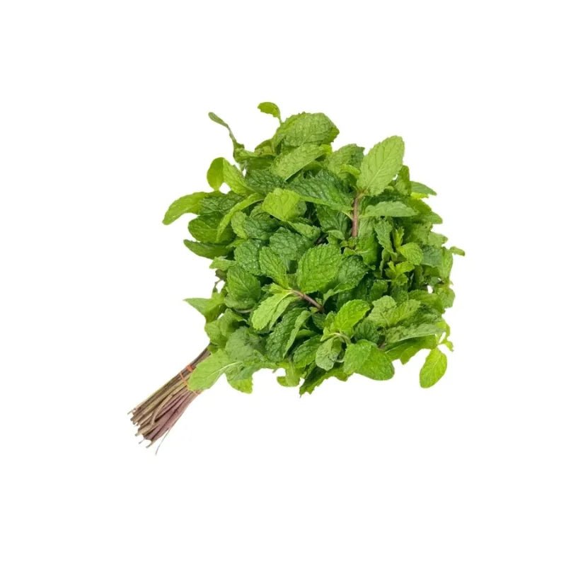 Mint Leaves Per kg - Bangkok FreshLink