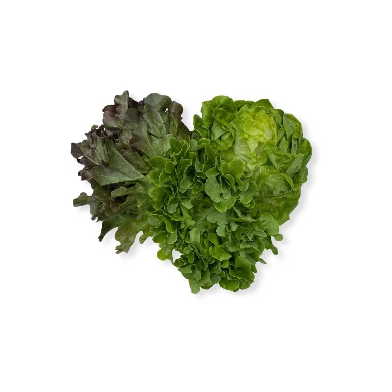 Mixed Salad 220g - Bangkok FreshLink