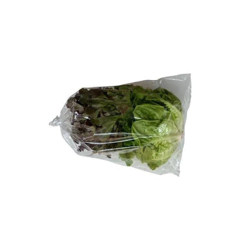 Mixed Salad 100g - Bangkok FreshLink