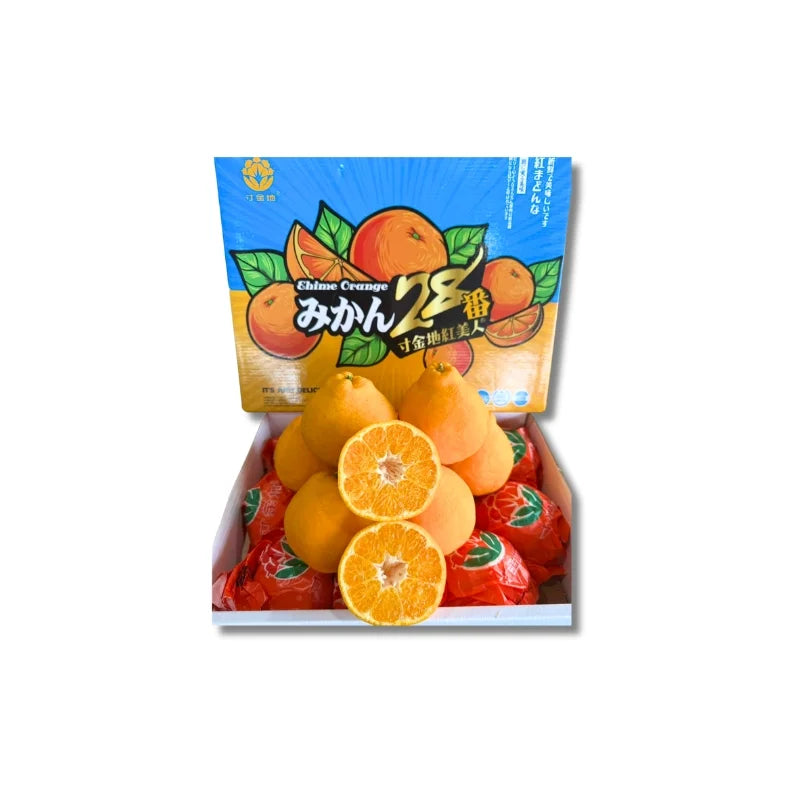 Neck Orange Blue Box Size 16-18 4-4.5 kg Per Box