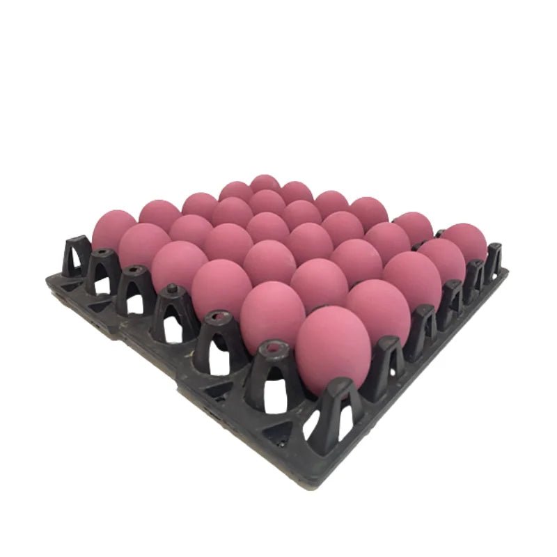 Century Eggs (Large Size) (30 Eggs/Pack) - Bangkok FreshLink