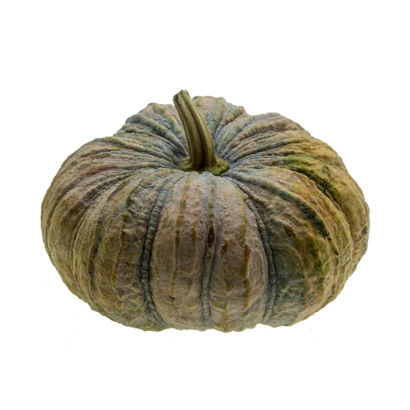 Pumpkin 3–6kg per Fruit Per kg