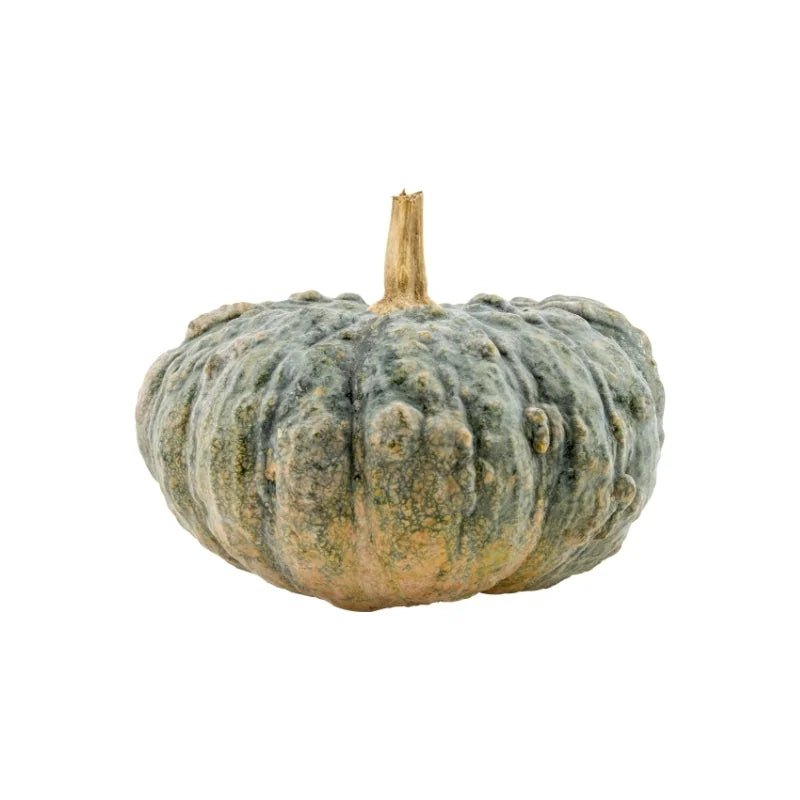 Pumpkin 3.5 - 4kg - Bangkok FreshLink