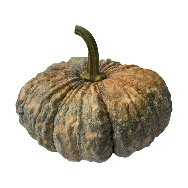 Pumpkin 5–7kg Each Per kg