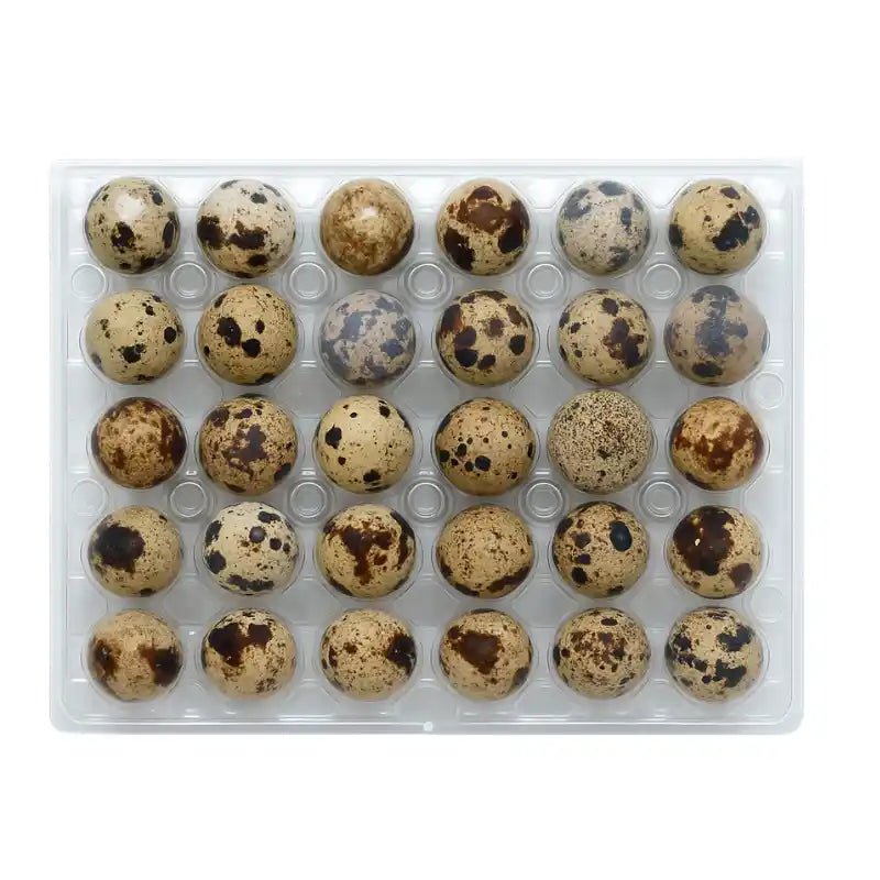 Quail Eggs 30 Pieces 1 Pack - Bangkok FreshLink