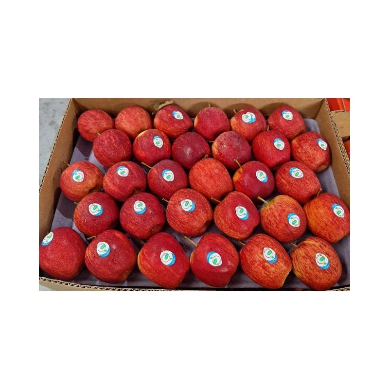 Red Gala Apples New Zealand Per Box