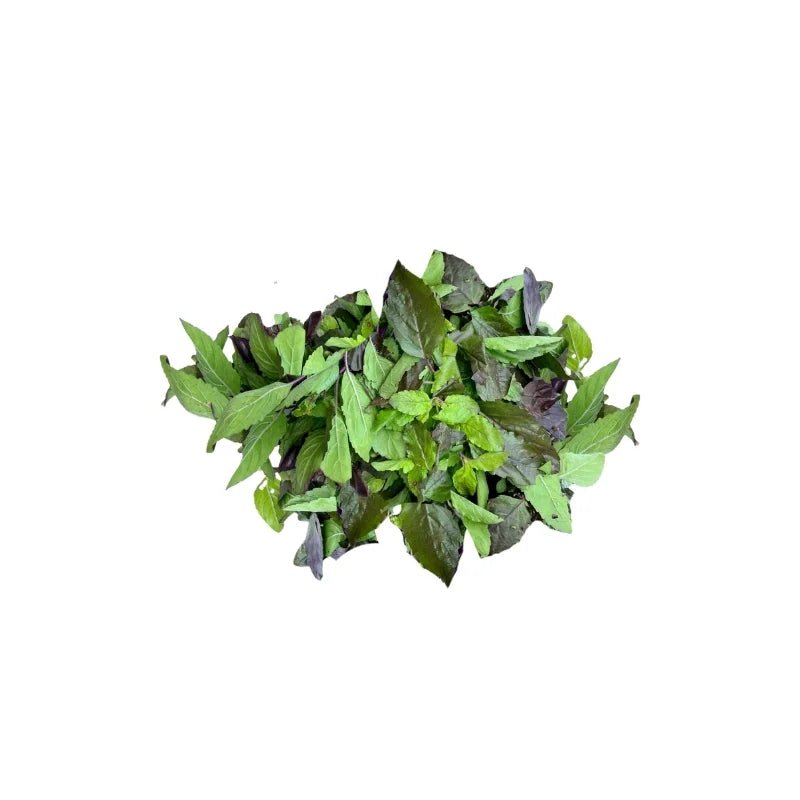 Red Holy Basil (Trimmed) 250g - Bangkok FreshLink