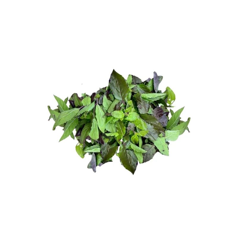 Red Holy Basil (Trimmed) 500g - Bangkok FreshLink