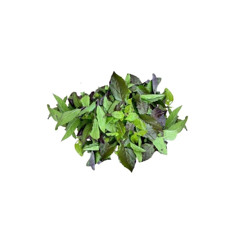 Red Holy Basil (Trimmed) Per kg - Bangkok FreshLink