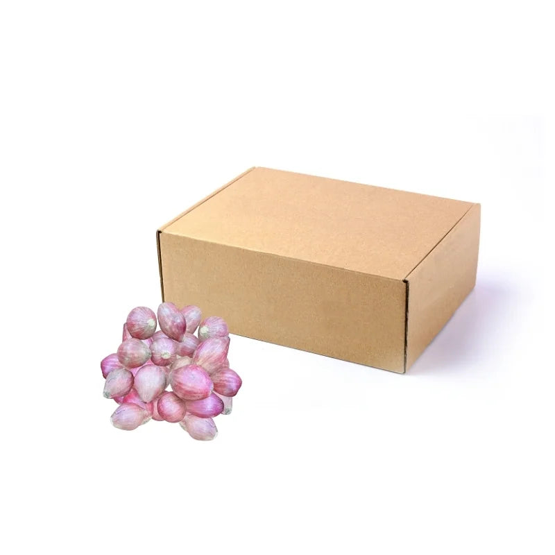 Red Onions (Burmese) 8kg