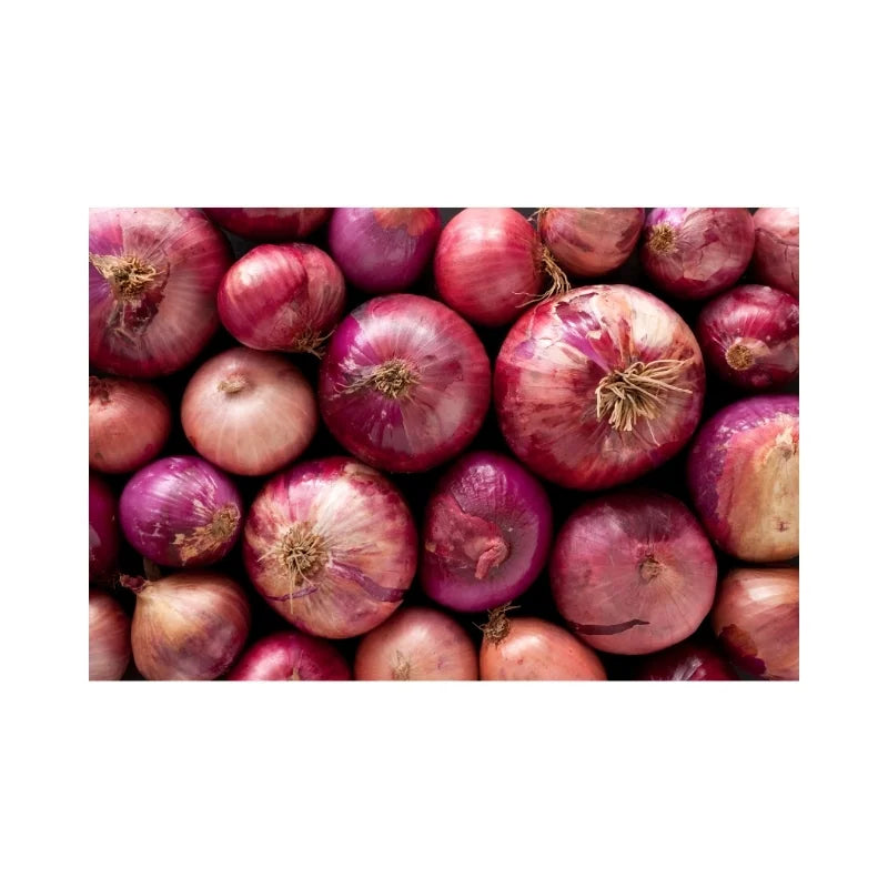 Red Onions (Indian) 10kg
