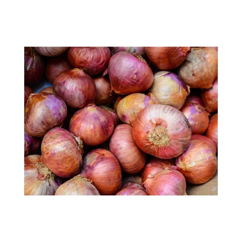 Red Onions (Indian) Per kg - Bangkok FreshLink