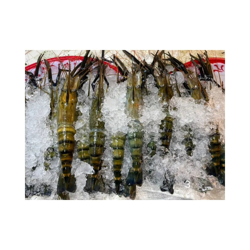 River Prawn Size 3 Pieces/kg Per kg
