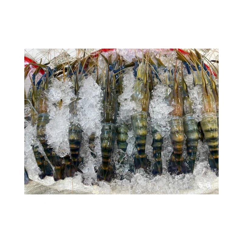 River Prawn Size 5 Pieces/kg Per kg - Bangkok FreshLink