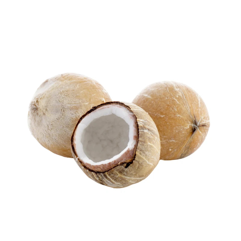 Medium-size roasted coconut on a white background