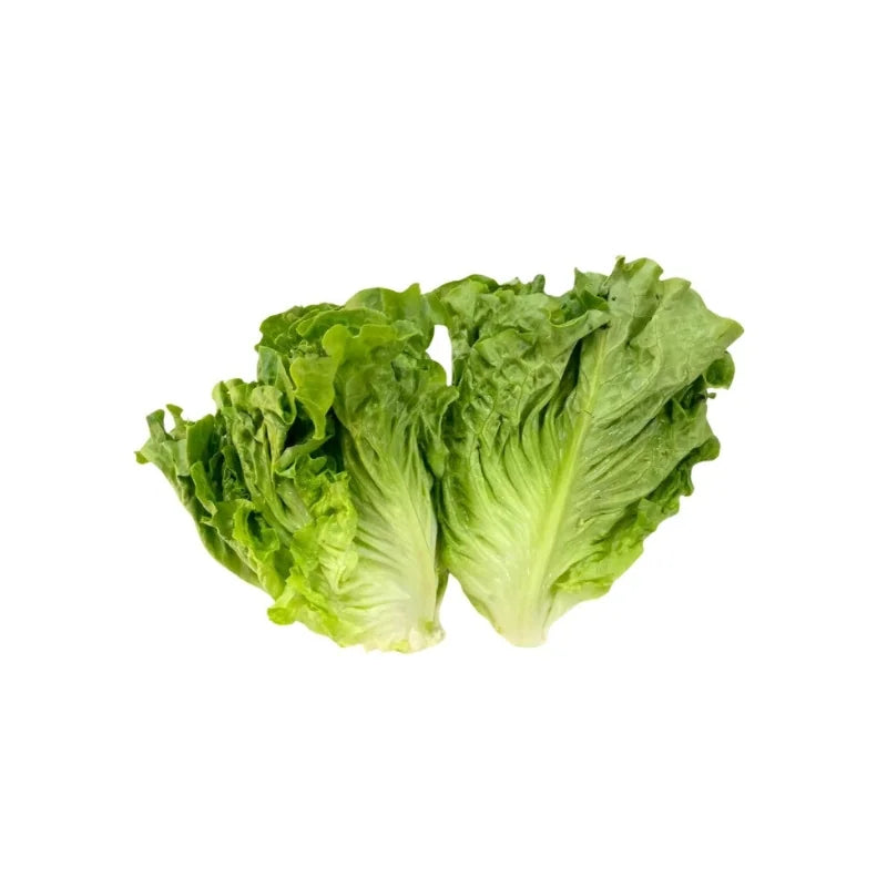 Romaine Lettuce 500g