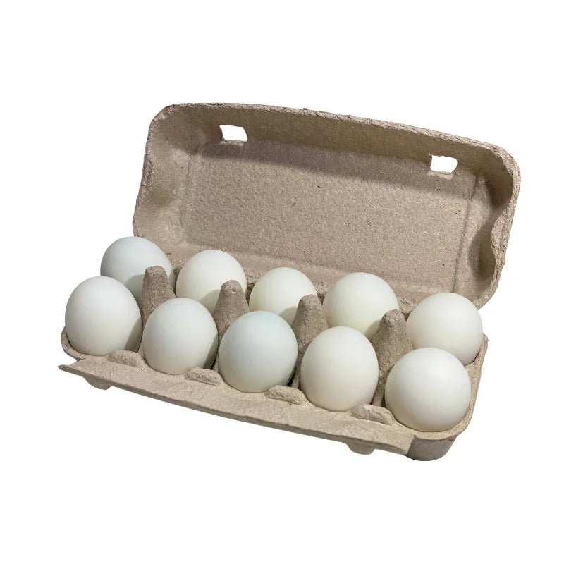 Salted Egg Large Size 10 Eggs/Pack - Bangkok FreshLink