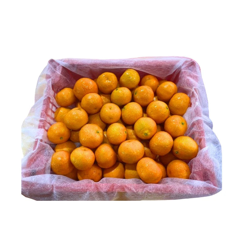 ส้มซาถังตะกร้าหูหิ้ว 1.8-2 กก./ตะกร้า