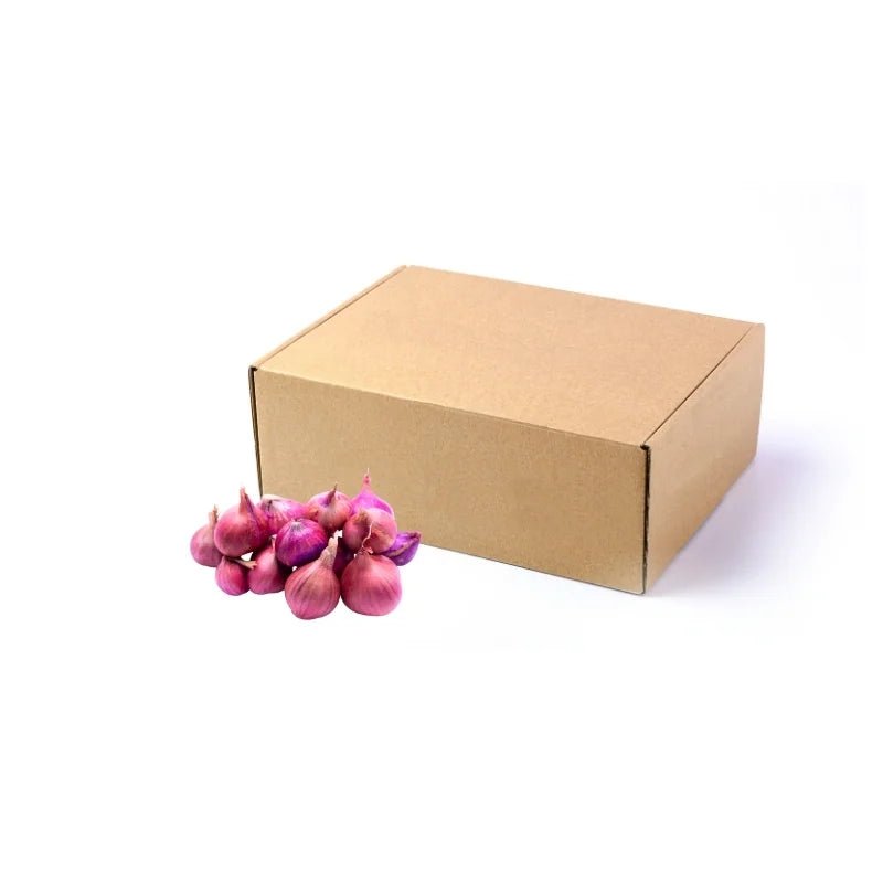 Fresh large shallots, aromatic purple shallots, 5kg bulk pack isolated on white background