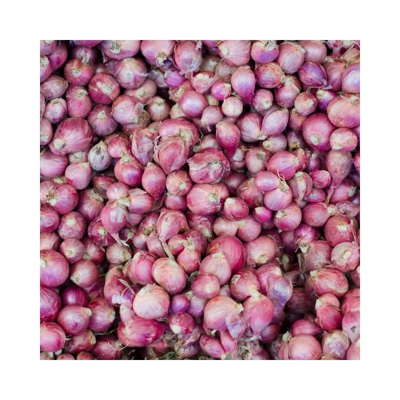 Shallots (Small) Per kg - Bangkok FreshLink