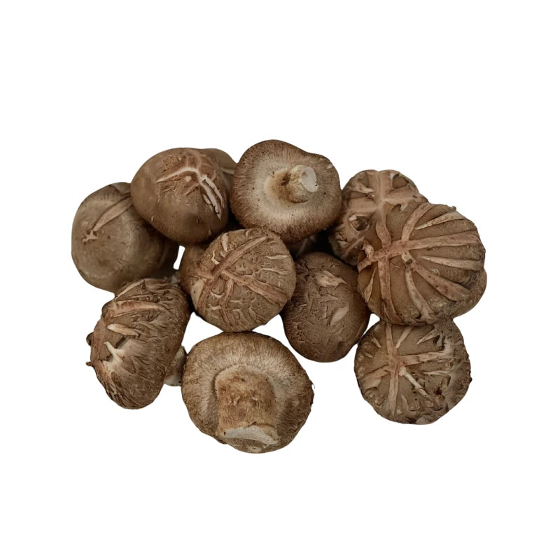 Shiitake Mushroom Large Size Per kg