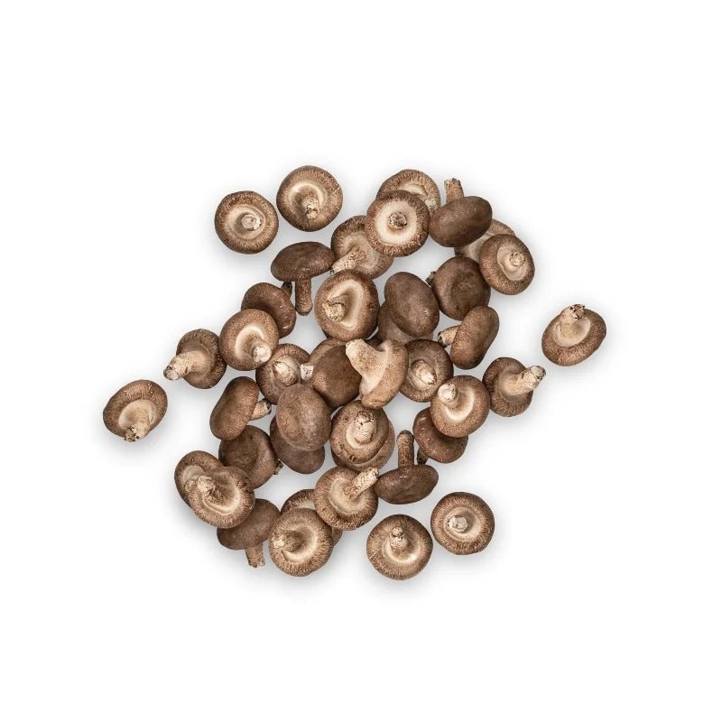 Fresh small shiitake mushrooms, compact aromatic caps sold per kg isolated on white background