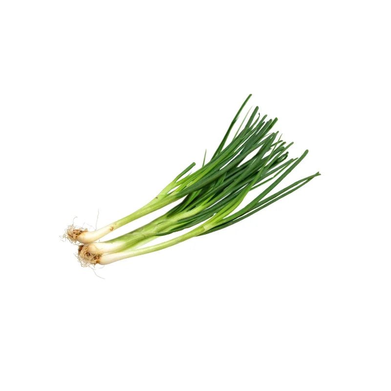 Spring Onion 100g - Bangkok FreshLink