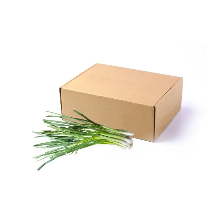 Spring Onion 5kg - Bangkok FreshLink