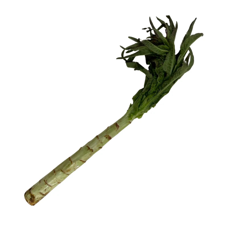 Spring Onion Lettuce Osun Per kg