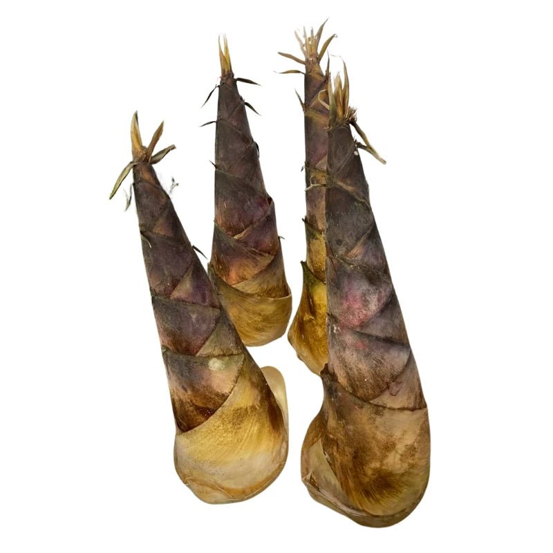 Sweet Bamboo Shoots Per kg - Bangkok FreshLink